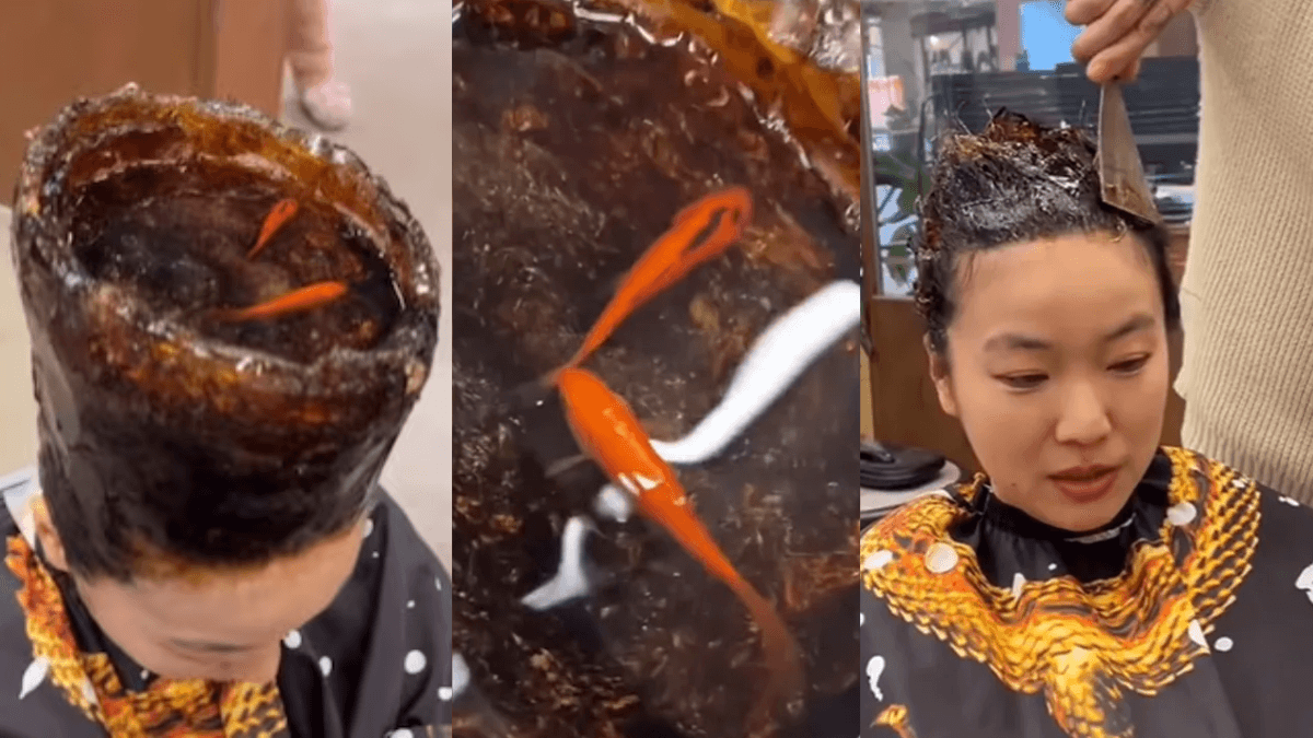 Viral Video: सिर पर तैरती मछलियां, देखिए महिला का अजीबोगरीब हेयरस्टाइल