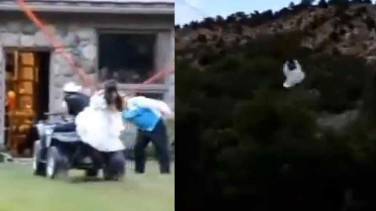 Weeding Reception Viral Video