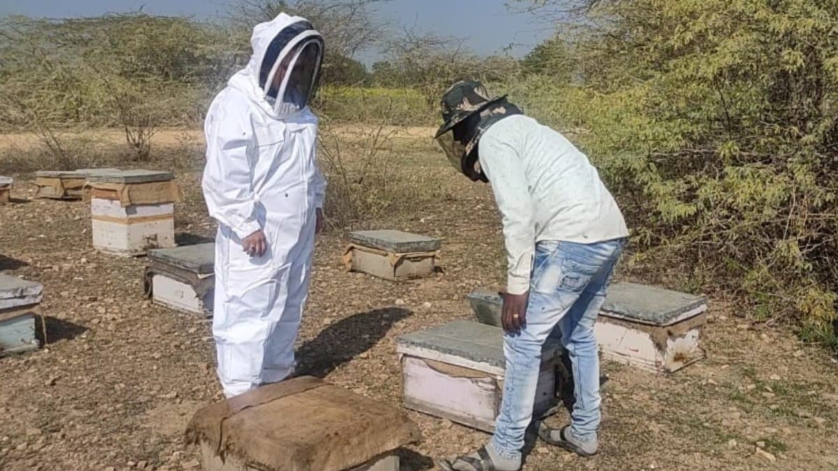 आधुनिक मधुमक्खी पालक ने बदल दिया स्वास्थ्य और रोजगार के पैमाने, सुपरफूड्स के जरिए बदल रही जिंदगी