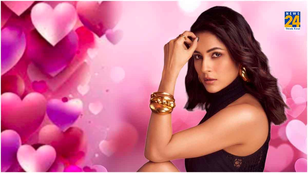 Shehnaaz Gill ने Valentine के दिन किसके लिए किया प्यार का इजहार? बोलीं- बेबी, आई लव यू...'
