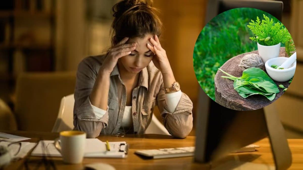 तनाव और चिंता से आप भी हैं घिरे? छुटकारा दिलवाने में मददगार होंगे ये 4 Herbs!