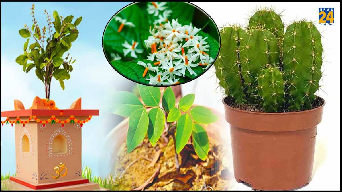 Vastu Shastra: किस-किस पौधे की पूजा करने से क्या मिलता है फल, जानें यहां
