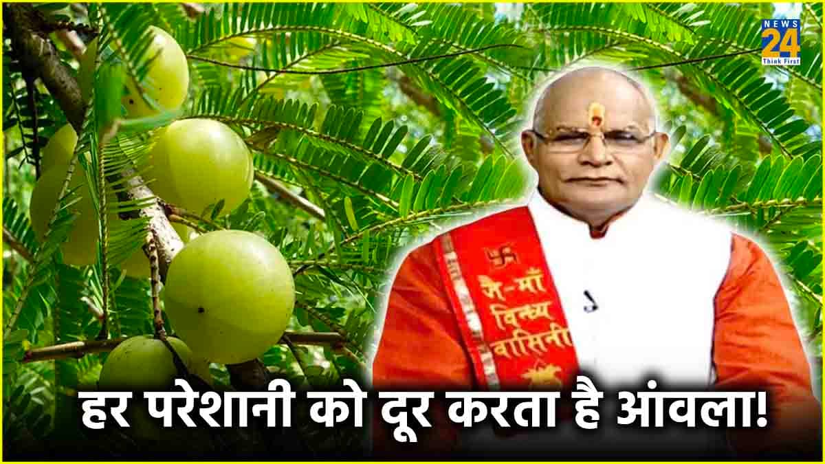 Kaalchakra: आमलकी एकादशी पर क्यों की जाती है आंवले के पेड़ की पूजा, जानें पंडित सुरेश पांडेय से