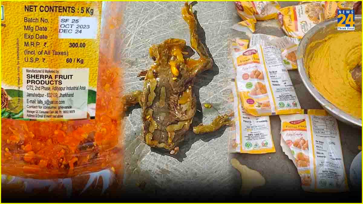 मरे हुए मेंढक का अचार, एक्सपायर हो चुके बेसन के पकौड़े... मिड डे मील में बच्चों को यह क्या परोसा जा रहा?