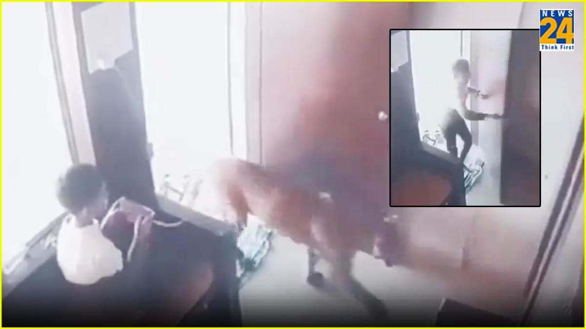 Viral Video: तेंदुआ सामने देख बच्चे ने जो कदम उठाया, चौतरफा हो रहे उसकी बहादुरी के चर्चे