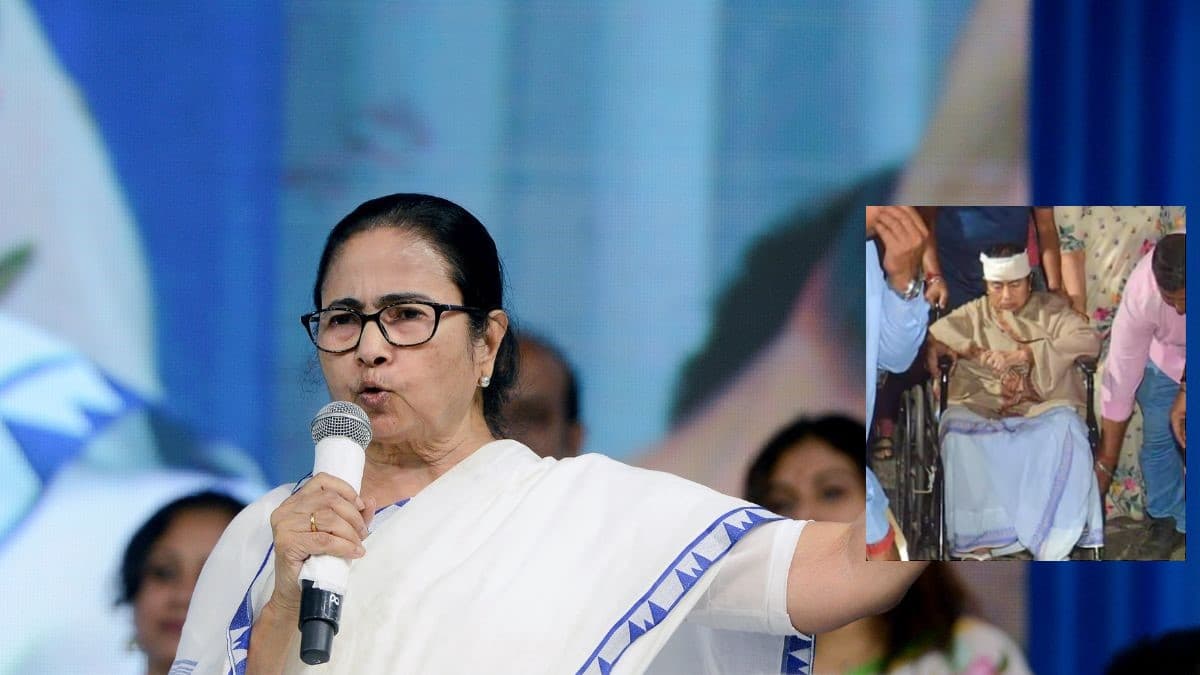 माथे पर 3 और नाक पर 1 टांका, Mamata Banerjee को किसने मारा धक्का?