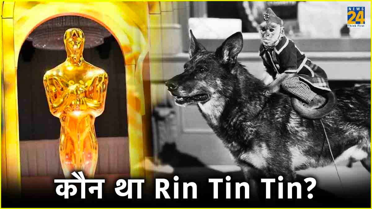 वो डॉग..ज‍िसके आगे Superstars भी फेल, बमबारी में बचा; मौत पर थम गया था अमेरिका