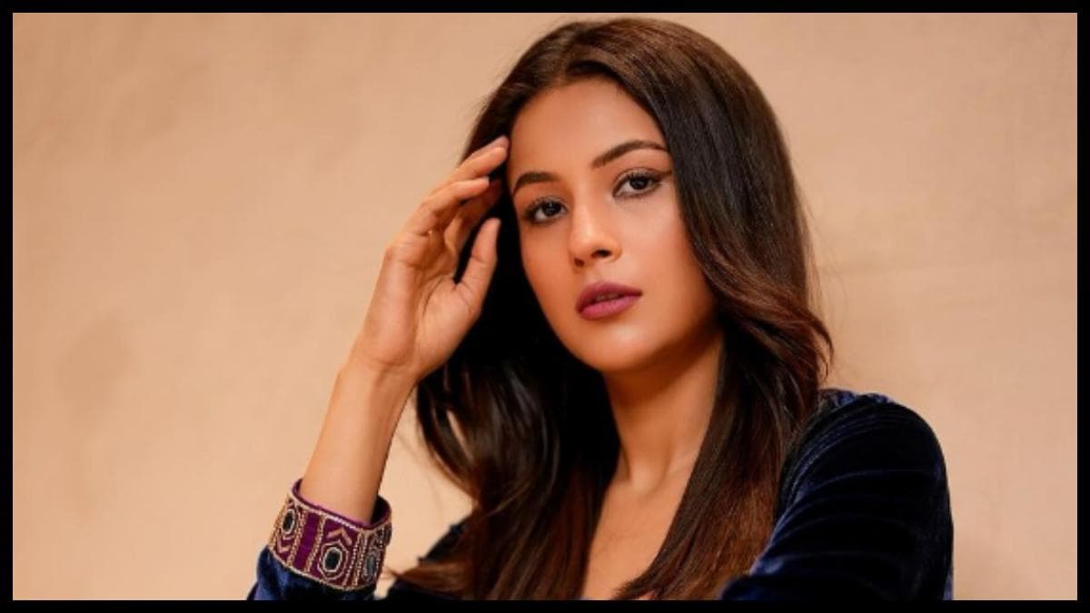 Shehnaaz Gill को Instagram पोस्ट पर मिलीं बधाइयां, एक्ट्रेस ने कहा- दिल क्या इरादा तेरा...