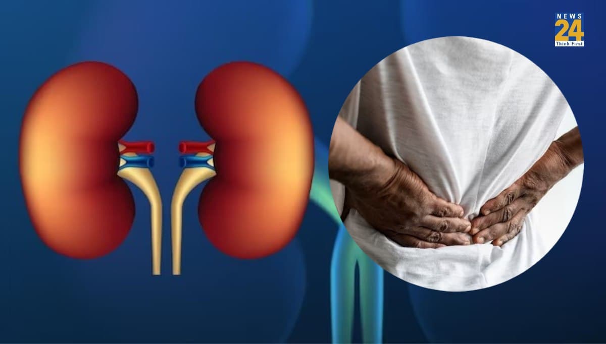 World Kidney Day 2024: युवाओं में क्यों बढ़ रही हैं किडनी की समस्याएं? कैसे करें देखभाल