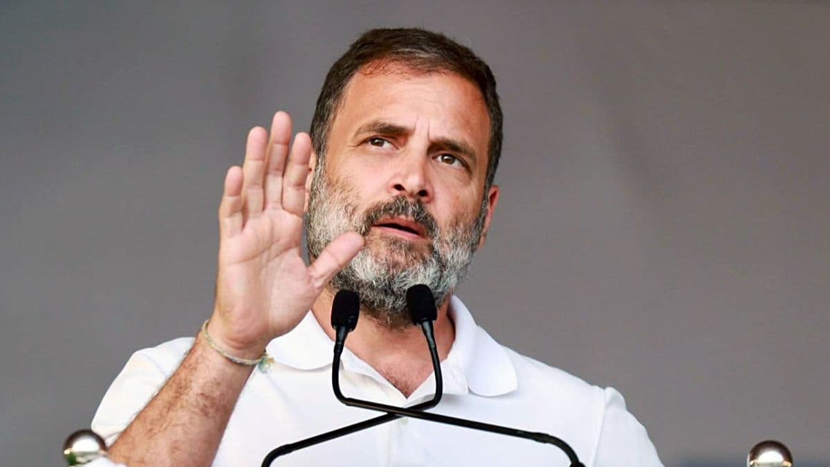 'भारत में कोई डेमोक्रेसी नहीं है, यहां विपक्ष को चुनाव लड़ने...', केंद्र पर क्यों जमकर बरसे राहुल गांधी?