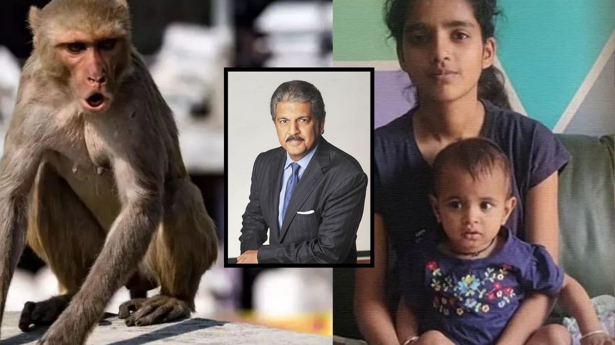 लड़की ने Alexa से बंदरों को भगाकर बचाई थी जान, अब आनंद महिंद्रा ने दिया गजब का ऑफर!