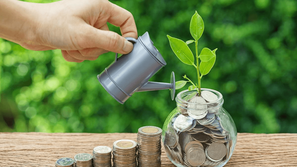 Stock Market में गिरावट Value Mutual Funds से कमाई का मौका, समझिये पूरा गणित