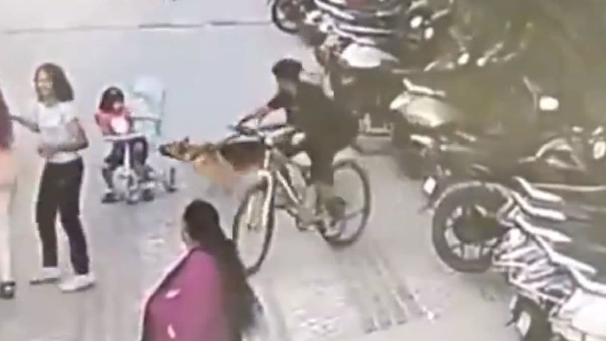 सोसाइटी में खेल रही बच्ची पर टूट पड़ा जर्मन शेफर्ड, मां ने बचाई जान