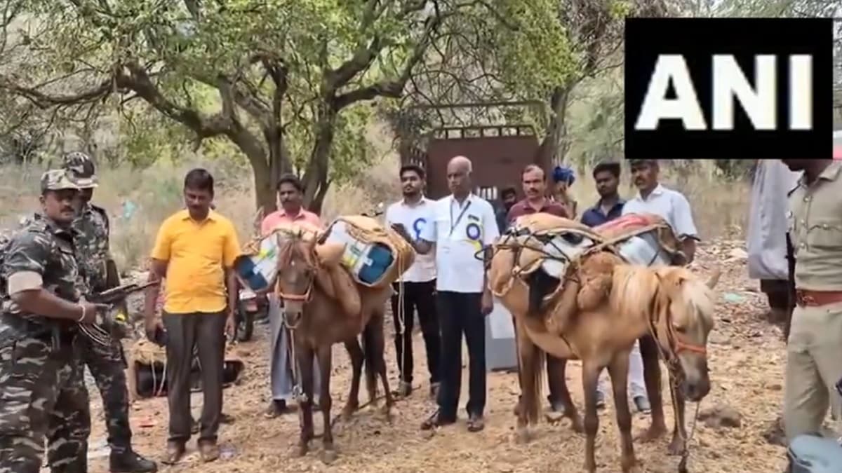 Lok Sabha Election 2024: अब गधों की पीठ पर EVM का बोझ, सामने आया Video