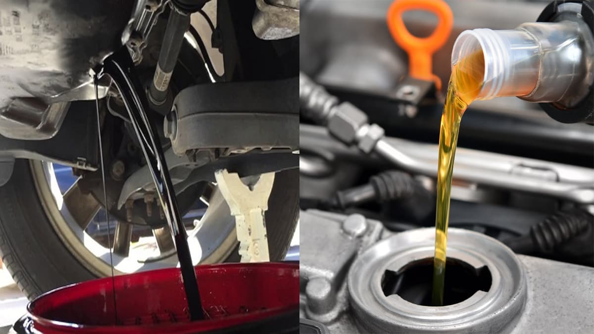 Engine oil: ऑयल बदलें या करें टॉप-अप? आपकी गाड़ी के लिए क्या है जरूरी ? जानें