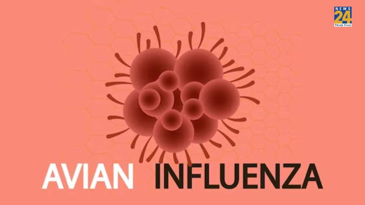 कोरोना से कितना ज्यादा खतरनाक है H5N1 वायरस? हेल्थ एक्सपर्ट भी दिखे टेंशन में