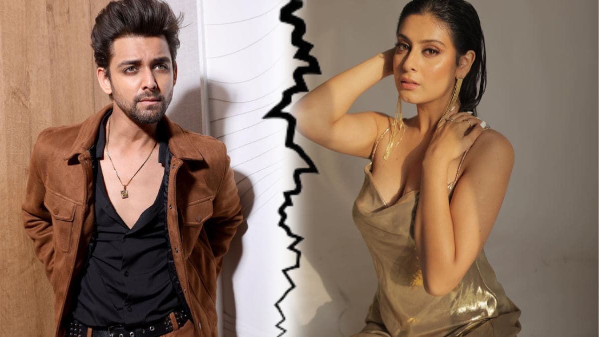Bigg Boss के एक और कपल के ब्रेकअप की चर्चा, इंस्टाग्राम से मिले संकेत