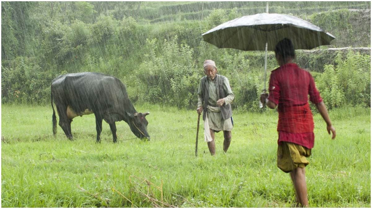 Monsoon Rain