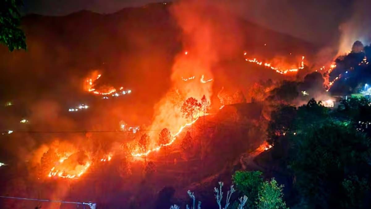 क्या होती है बांबी बकेट? नैनीताल के जंगलों में लगी आग बुझाने में किया जा रहा इस्तेमाल