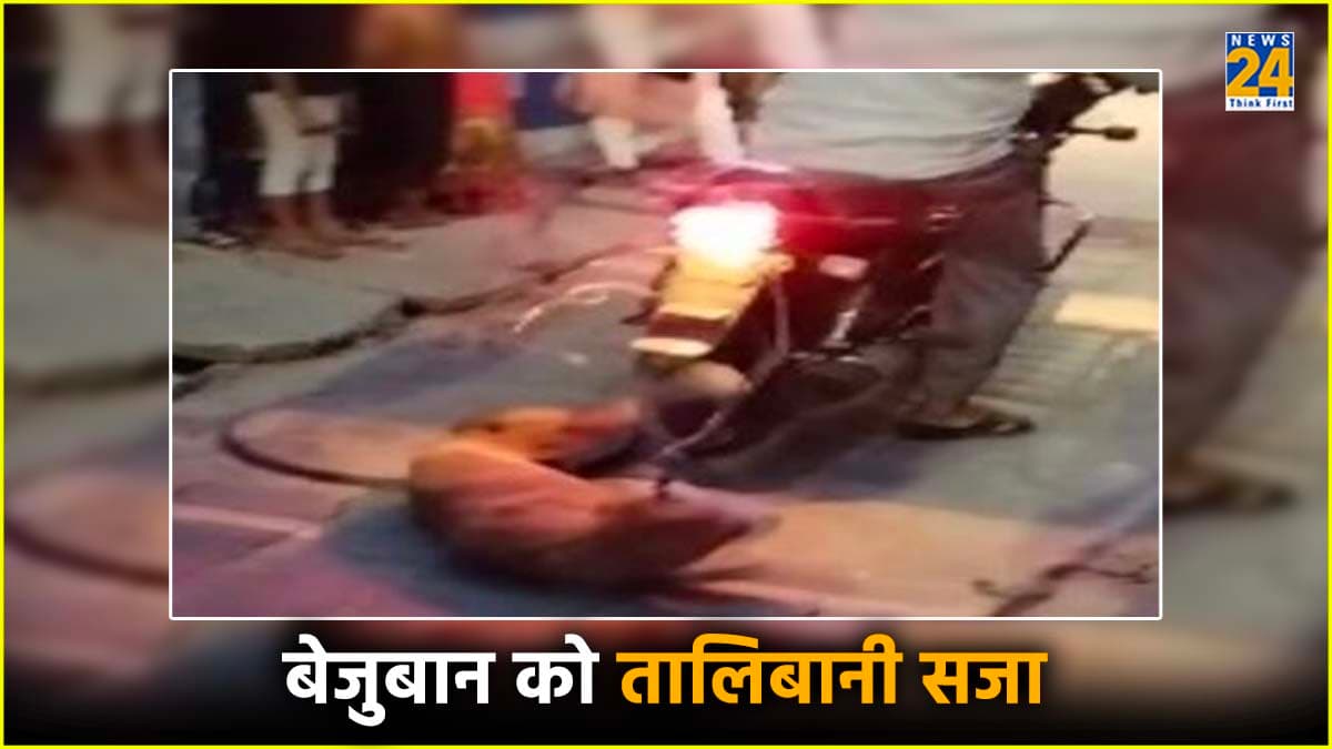 स्ट्रीट डॉग को खंभे से बांधा, डंडे मारे, बाइक से घसीटा, शर्मसार करती है दंपति की करतूत