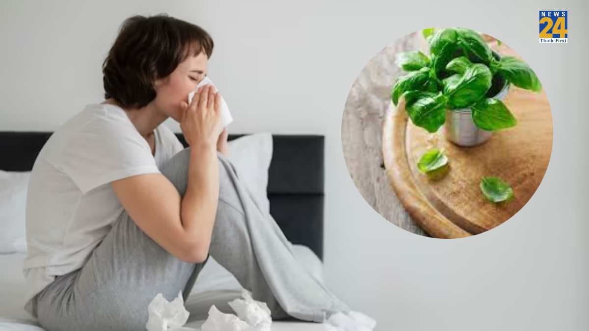 Home Remedies: हो गया है Typhoid? तो अपना सकते हैं ये 5 घरेलू नुस्खे, जल्द मिलेगी राहत!