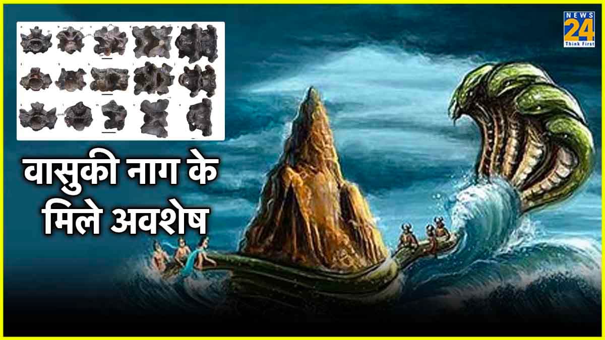 भारत में कभी होते थे विशालकाय सांप, गुजरात में मिले जीवाश्म पर वैज्ञानिकों ने लगाई मुहर