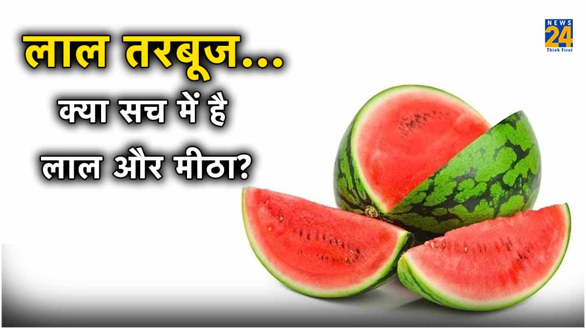 कहीं लाल तरबूज समझ आप तो नहीं खा रहे केमिकल? FSSAI ने बताया पहचानने का तरीका