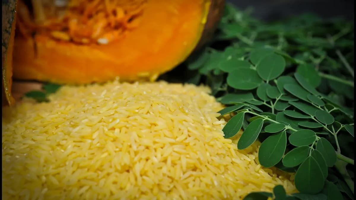 Golden Rice: क्या होता है सोने का चावल? इस देश ने लगाया प्रतिबंध, वजह जान रह जाएंगे हैरान