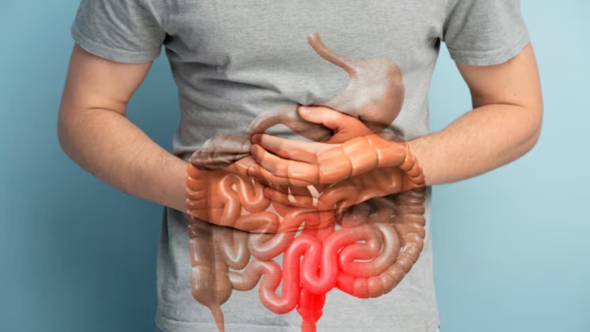 गर्मियों के दौरान अपने पेट को हेल्दी रखना चाहते हैं? Follow करें ये 5 टिप्स
