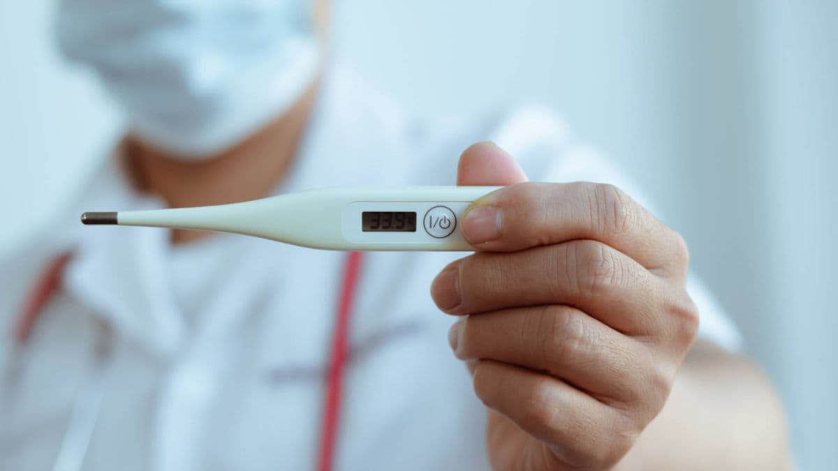 World Malaria Day 2024 : बुखार कोई बीमारी नहीं है, इस वजह से होते हैं मलेरिया समेत दूसरे इन्फेक्शन