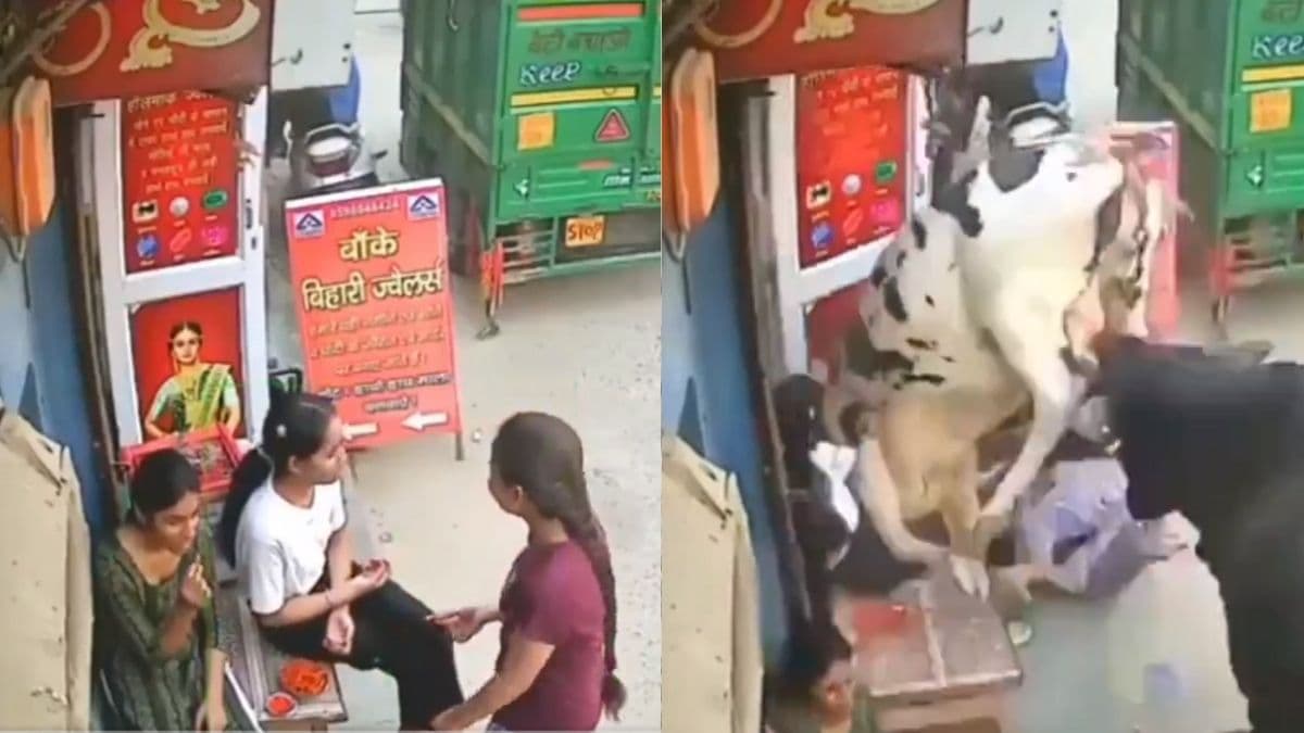 सड़क किनारे स्ट्रीट फूड खा रही लड़कियों पर टूटा सांड का कहर, डरावना वीडियो वायरल