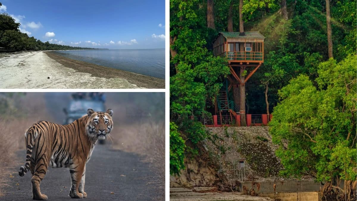 यूपी में भी ले सकते हैं बीच और जंगल सफारी का मजा, जानें एंट्री फीस से लेकर बुकिंग तक सब कुछ