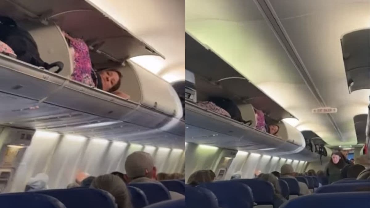 Flight Viral Video