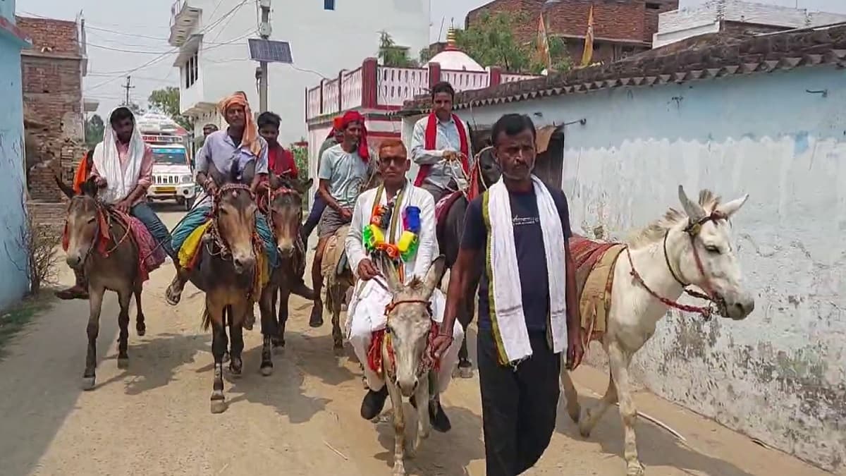 गले में खिलौनों की माला, गधे पर बैठ वोट मांगने निकले नेताजी, Video Viral