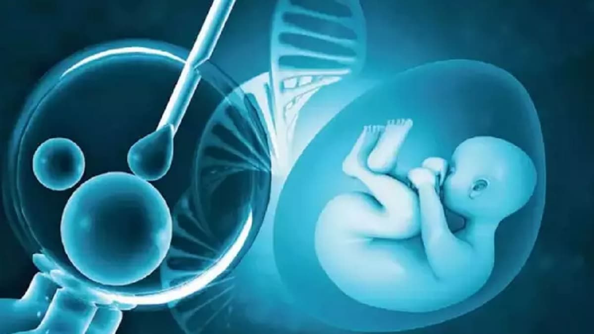 गजब का ऑफर! फ्री IVF कराएं; दुनिया की ये मशहूर हस्ती देगी अपना स्पर्म, जानें नियम और शर्तें