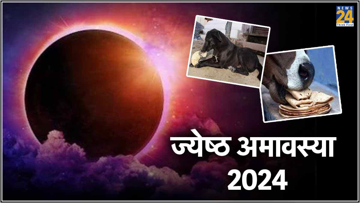 ज्येष्ठ अमावस्या के दिन क्यों खिलाते हैं कुत्ते और गाय को भोजन, जानें क्या है धार्मिक मान्यता