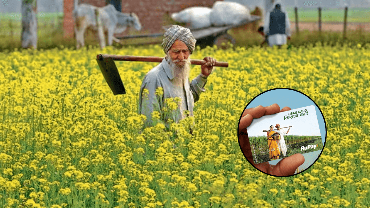 PM Kisan: सस्ती ब्याज दर पर मिलेगा लोन, किसान क्रेडिट कार्ड के लिए करें अप्लाई