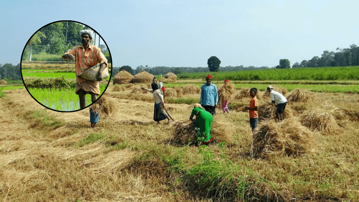 PM Kisan 17th Installment: 17वीं किस्त लेनी है तो भूलकर भी न करें ये 5 गलतियां, रुक सकता है पैसा