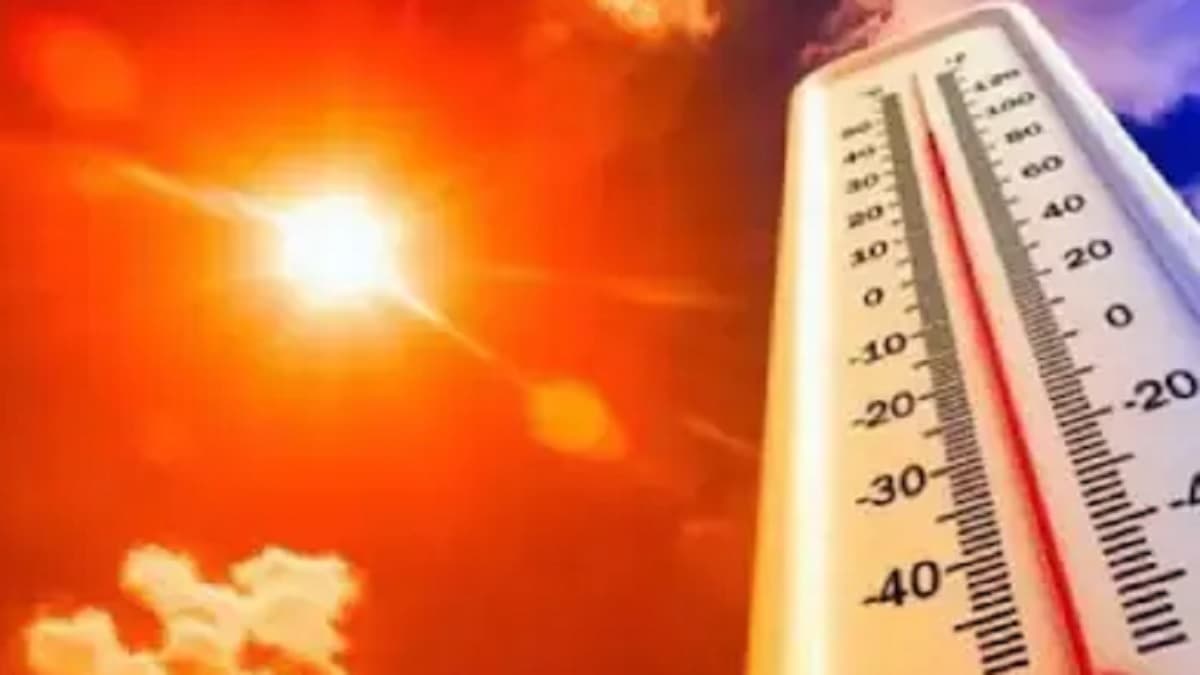क्या 50 डिग्री तक जाएगा तापमान? हीटवेव को लेकर IMD का अलर्ट, राजस्थान में कब होगी बारिश