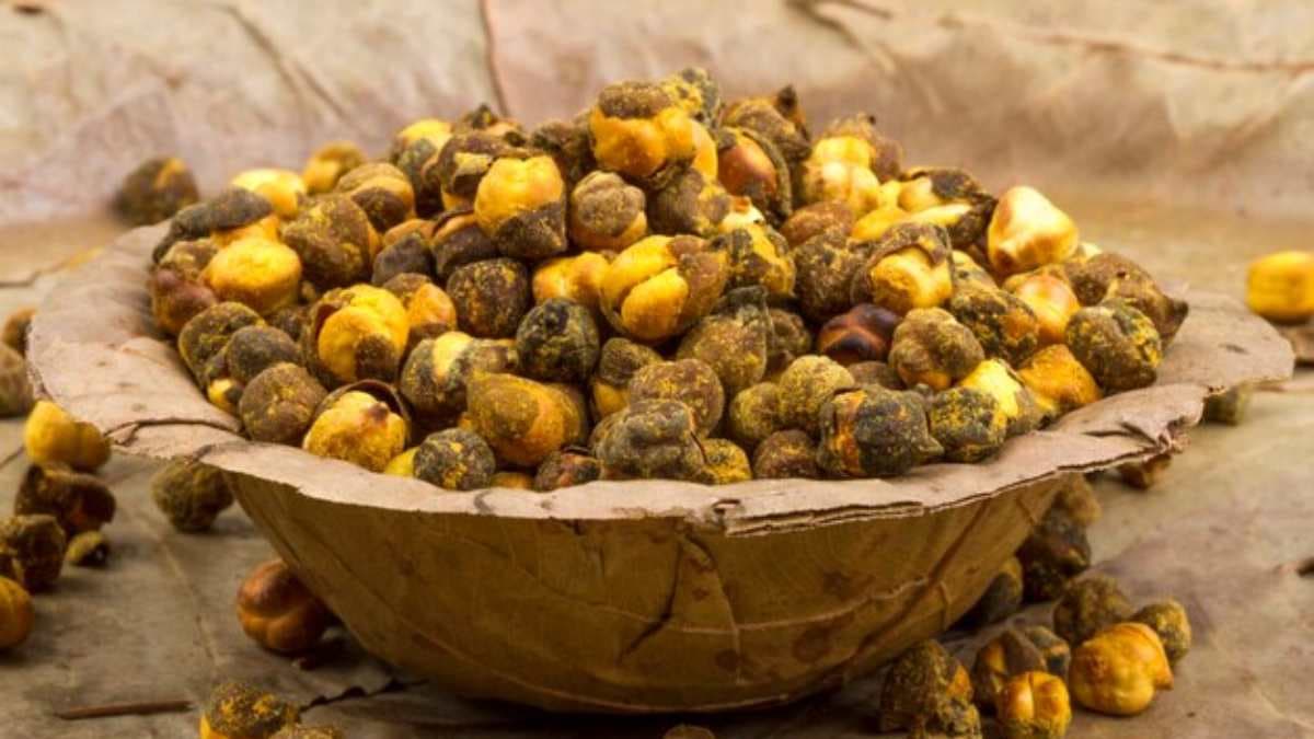 घोड़े की तरह ताकतवर बना देता है भुना चना! इन 7 बीमारियों में भी फायदेमंद