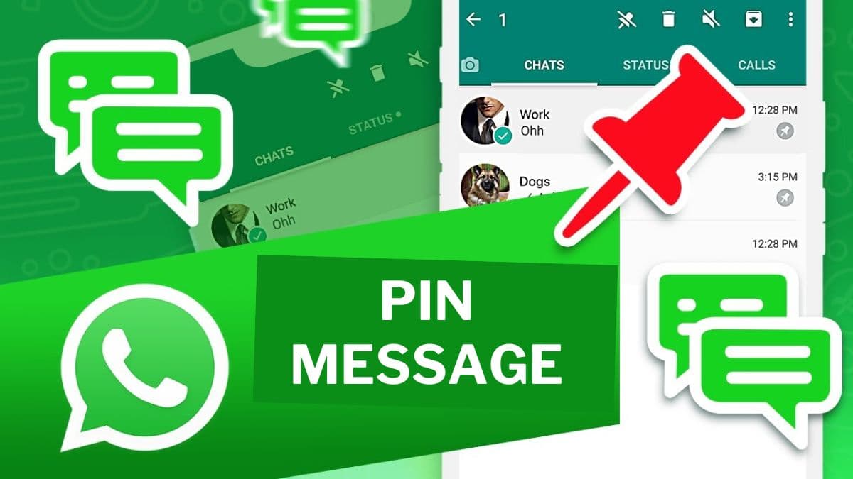 WhatsApp New Feature