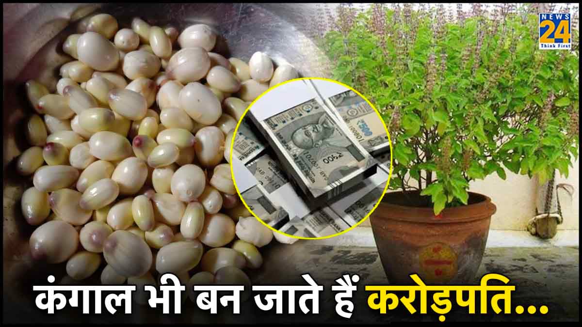 अक्षय तृतीया पर करें कमलगट्टे और तुलसी के उपाय, घर में होगी नोटों की बारिश