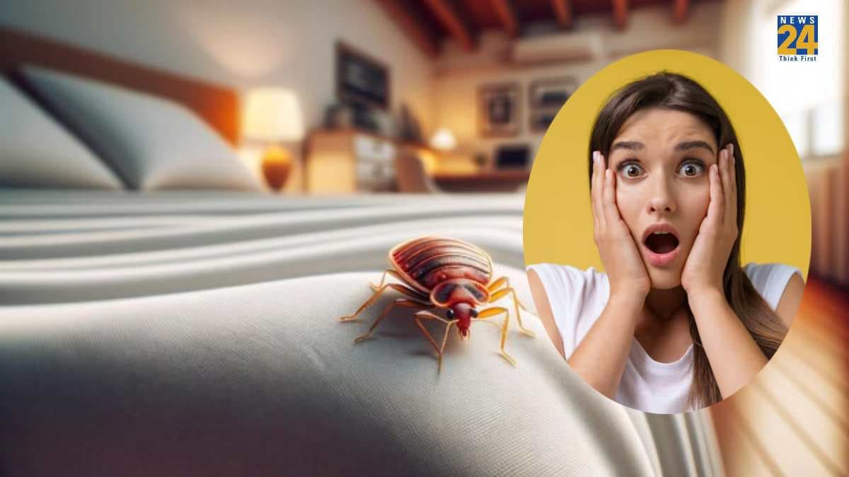 घर या ऑफिस में हो गए हैं खटमल? तो अपनाएं खत्म करने के 5 असरदार नुस्खे