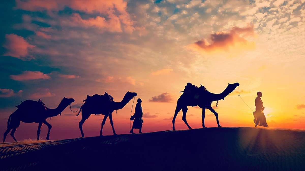 Rajasthan Heatwave Red Alert IMD Weather Forecast