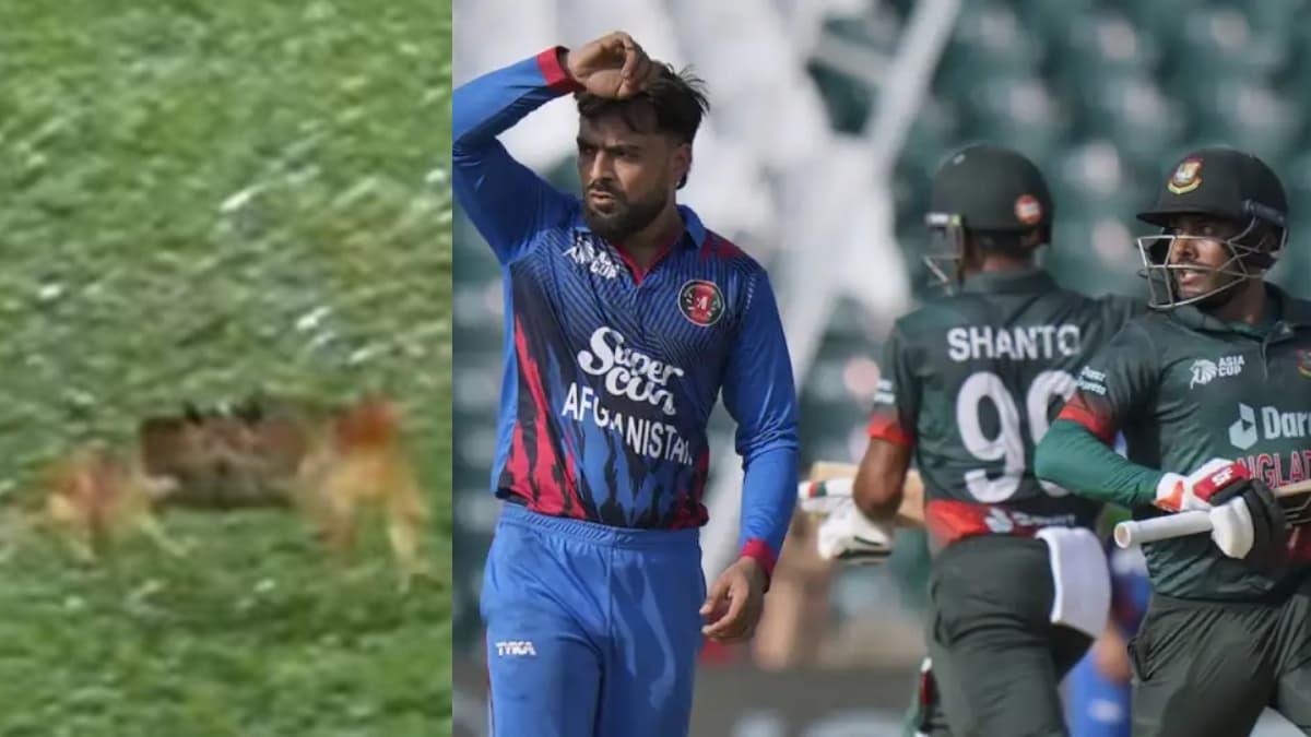 AFG vs BAN: मैच के दौरान मैदान में दिखा बिच्छू, सामने आया वीडियो