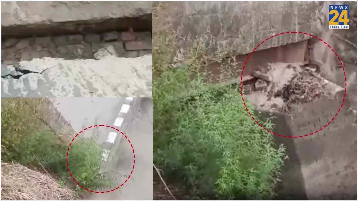 बिहार में करोड़ों का पुल ढहा, देखते ही देखते गंडक नहर के पानी में बह गया, वीडियो आया सामने