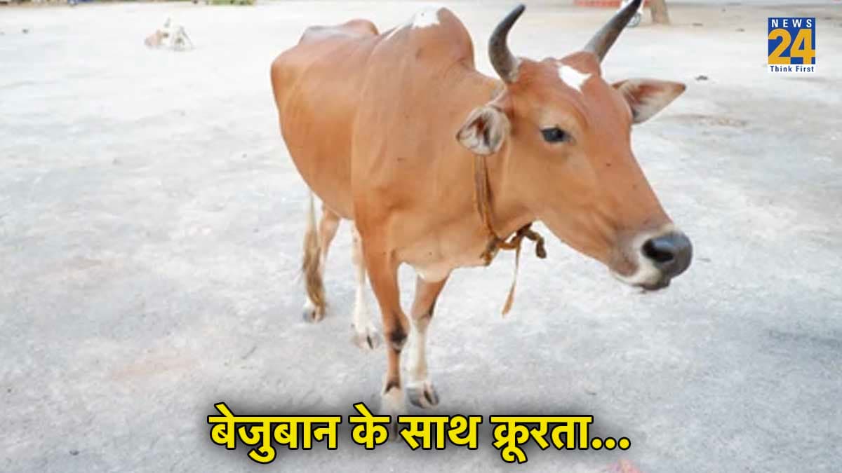 ठूंस-ठूंस कर खिलाया, 5 गायों ने दम तोड़ा; केरल की घटना, हिंदू संगठन भड़के
