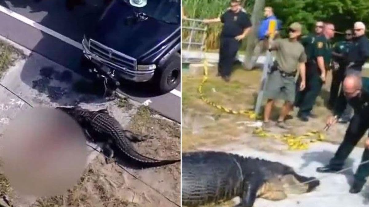 Florida America
