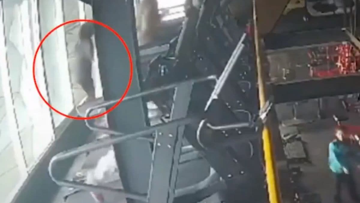 देखिए जिम करते-करते कैसे चली गई लड़की की जान, थोड़ी से गलती से खत्म हुई जिंदगी