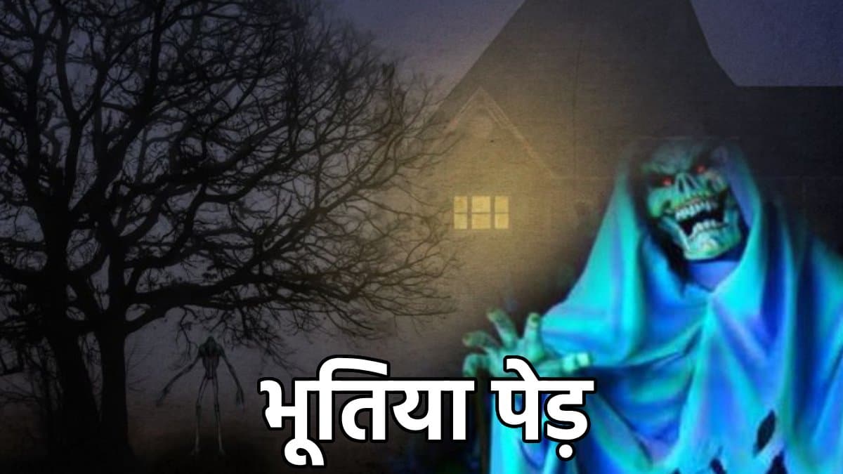 इन 5 पेड़ों को 'आत्माओं का ठिकाना' क्यों मानते हैं लोग? जानें कितना सच और कितना झूठ?